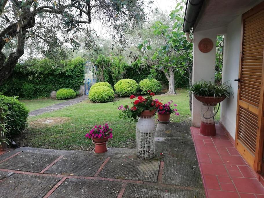 Villa Brezza Capaccio Exteriör bild